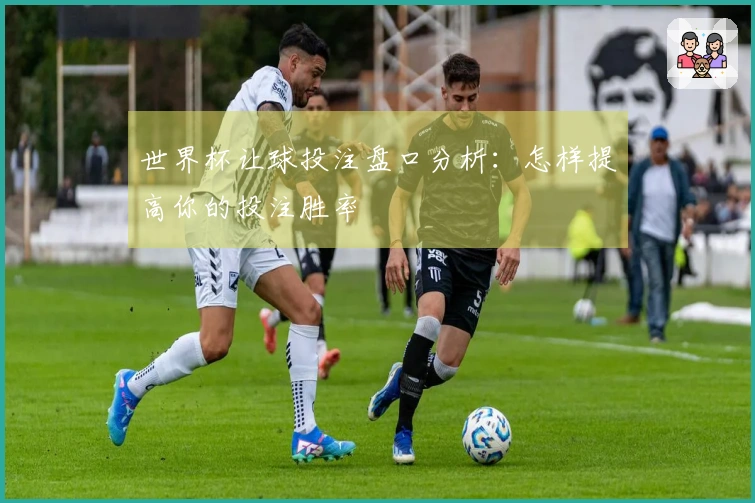 世界杯让球投注盘口分析：怎样提高你的投注胜率