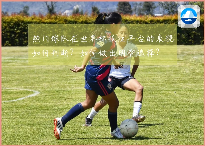 热门球队在世界杯投注平台的表现如何判断?如何做出明智选择?