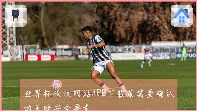 世界杯投注网站APP下载前需要确认的关键安全要素