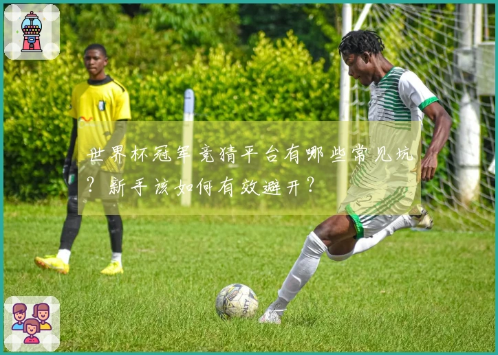 世界杯冠军竞猜平台有哪些常见坑？新手该如何有效避开？