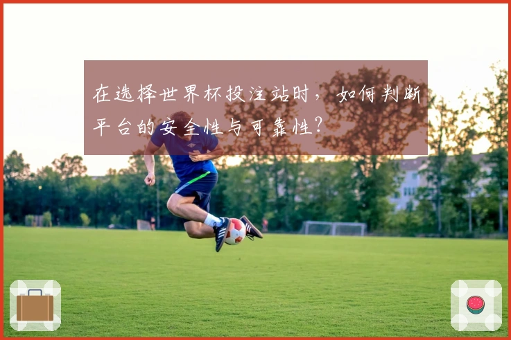 在选择世界杯投注站时，如何判断平台的安全性与可靠性？