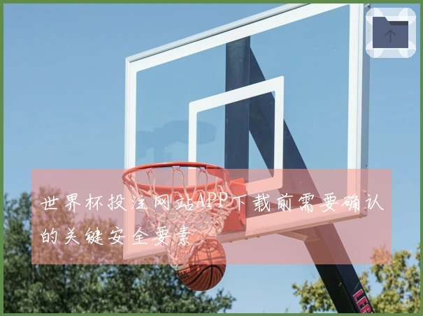 世界杯投注网站APP下载前需要确认的关键安全要素