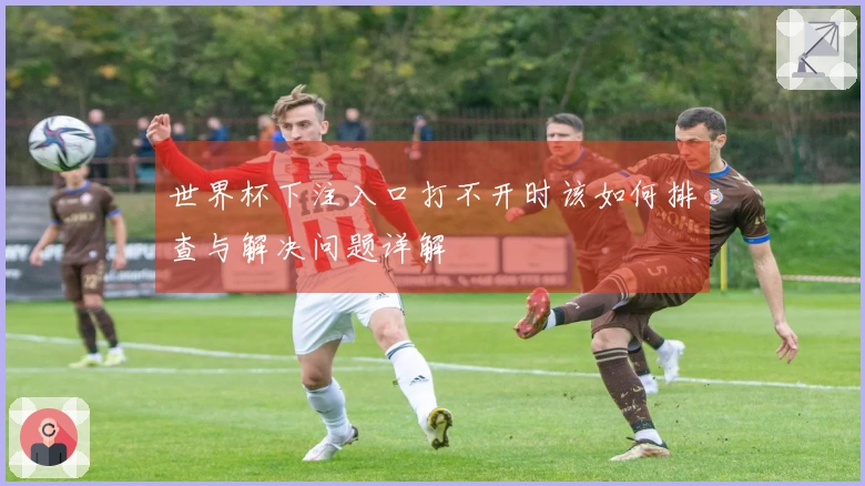 世界杯下注入口打不开时该如何排查与解决问题详解
