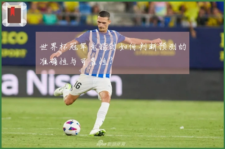 世界杯冠军竞猜时如何判断预测的准确性与可靠性？