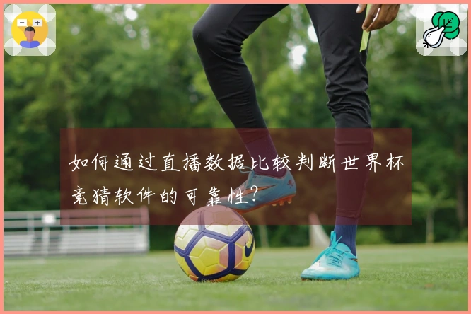如何通过直播数据比较判断世界杯竞猜软件的可靠性？