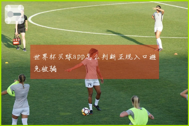世界杯买球app怎么判断正规入口避免被骗