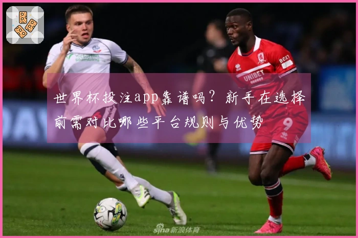 世界杯投注app靠谱吗？新手在选择前需对比哪些平台规则与优势