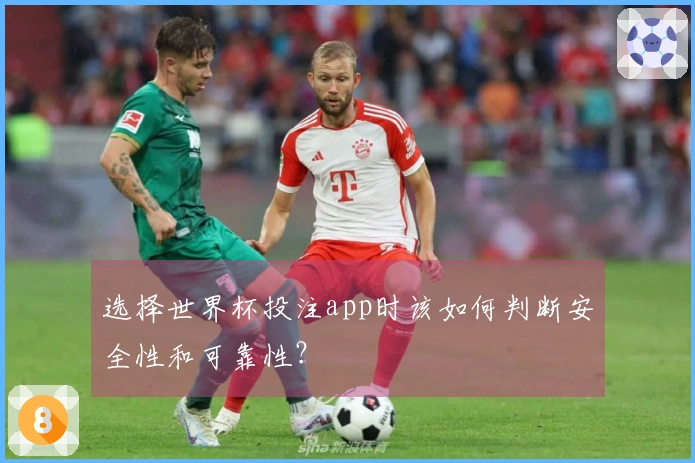 选择世界杯投注app时该如何判断安全性和可靠性？