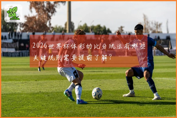 2026世界杯体彩的比分玩法有哪些关键规则需要提前了解？
