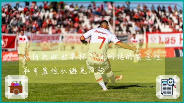 如何判断世界杯下注网站的安全性和可靠性以避免风险