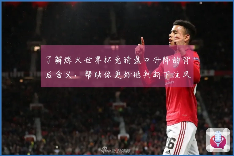 了解烽火世界杯竞猜盘口升降的背后含义，帮助你更好地判断下注风险