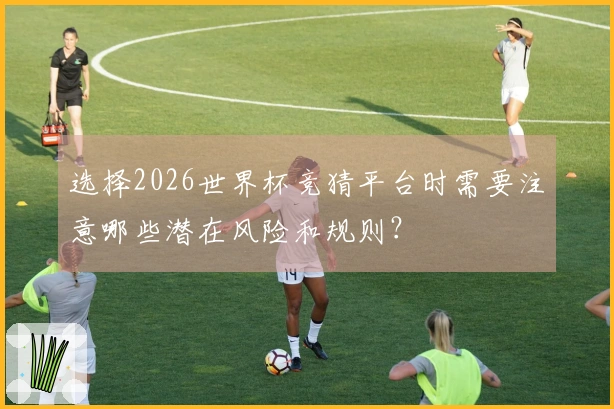 选择2026世界杯竞猜平台时需要注意哪些潜在风险和规则？
