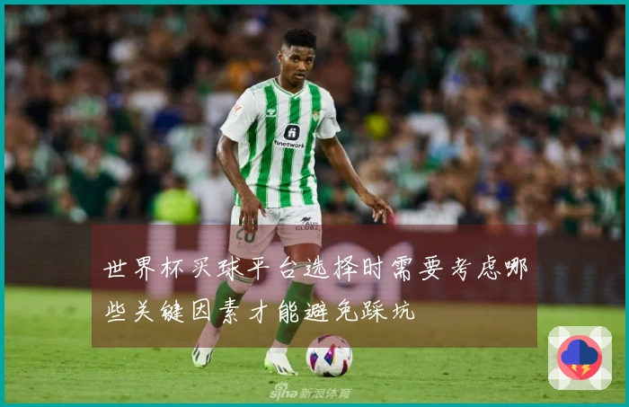世界杯买球平台选择时需要考虑哪些关键因素才能避免踩坑