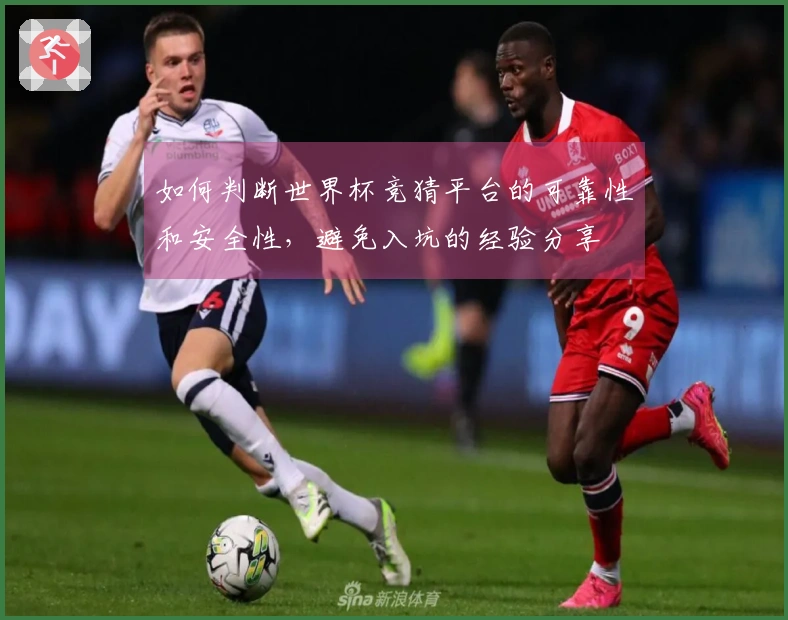 如何判断世界杯竞猜平台的可靠性和安全性，避免入坑的经验分享