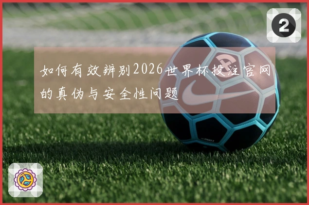 如何有效辨别2026世界杯投注官网的真伪与安全性问题