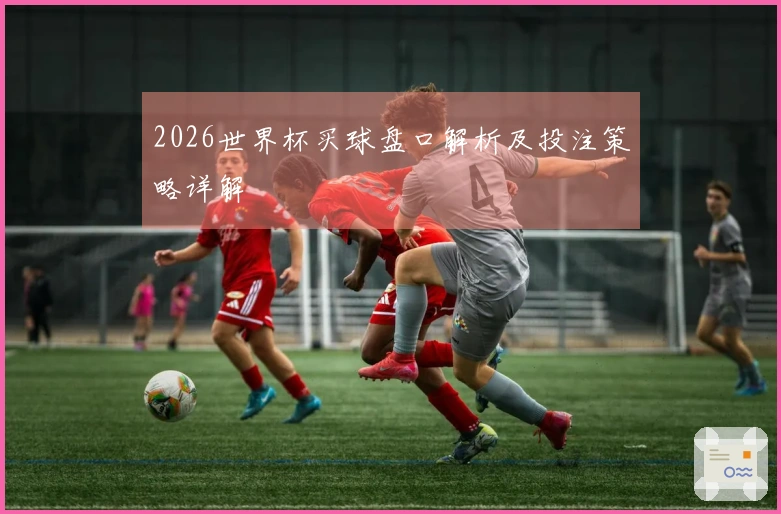 2026世界杯买球盘口解析及投注策略详解