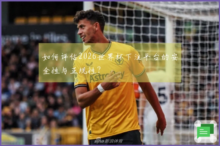 如何评估2026世界杯下注平台的安全性与正规性？
