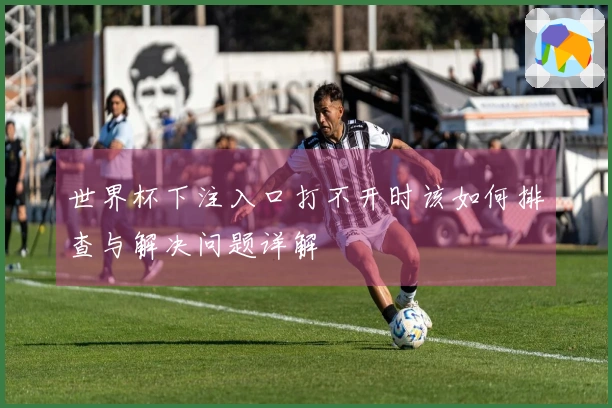 世界杯下注入口打不开时该如何排查与解决问题详解