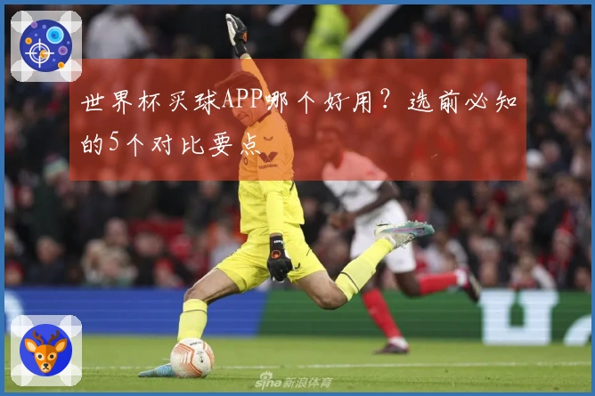 世界杯买球APP哪个好用?选前必知的5个对比要点