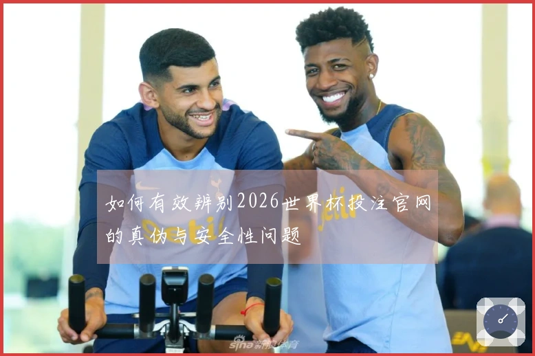 如何有效辨别2026世界杯投注官网的真伪与安全性问题
