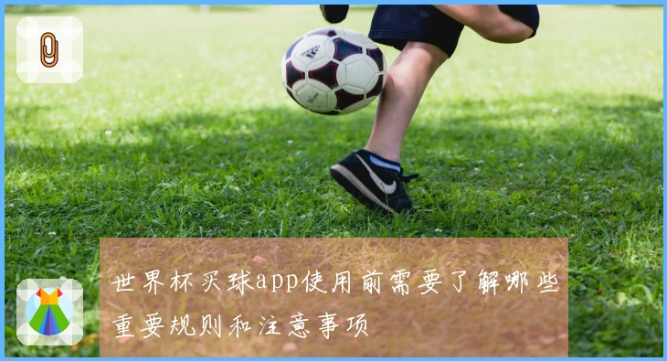 世界杯买球app使用前需要了解哪些重要规则和注意事项