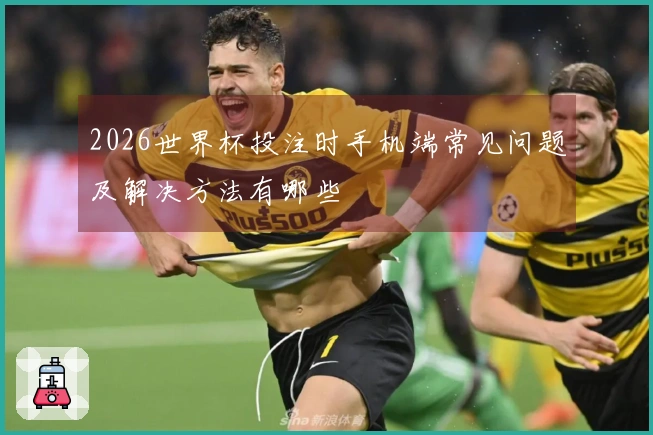 2026世界杯投注时手机端常见问题及解决方法有哪些
