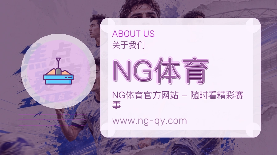 NG体育访问体验说明